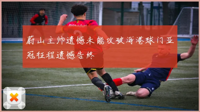 蔚山主帅遗憾未能攻破海港球门亚冠征程遗憾告终