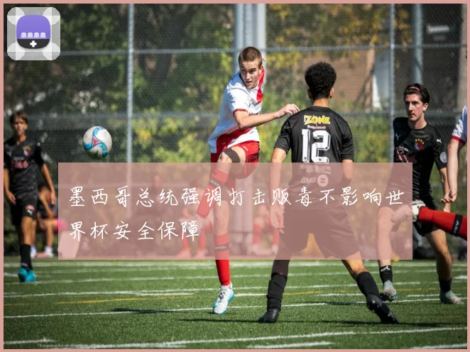 墨西哥总统强调打击贩毒不影响世界杯安全保障