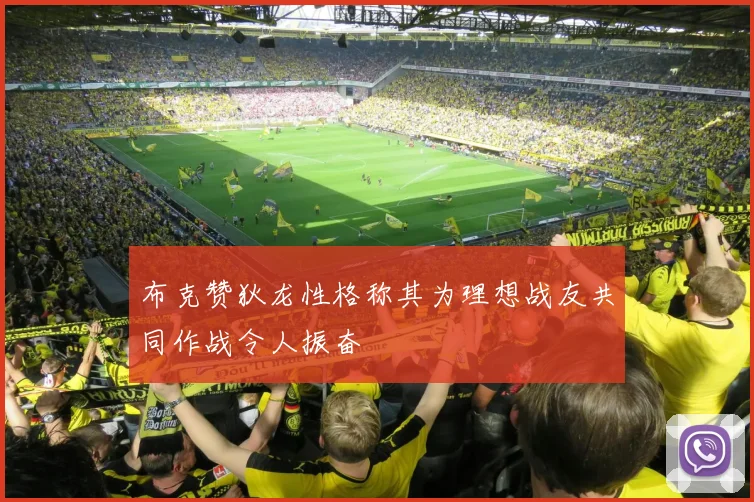 布克赞狄龙性格称其为理想战友共同作战令人振奋